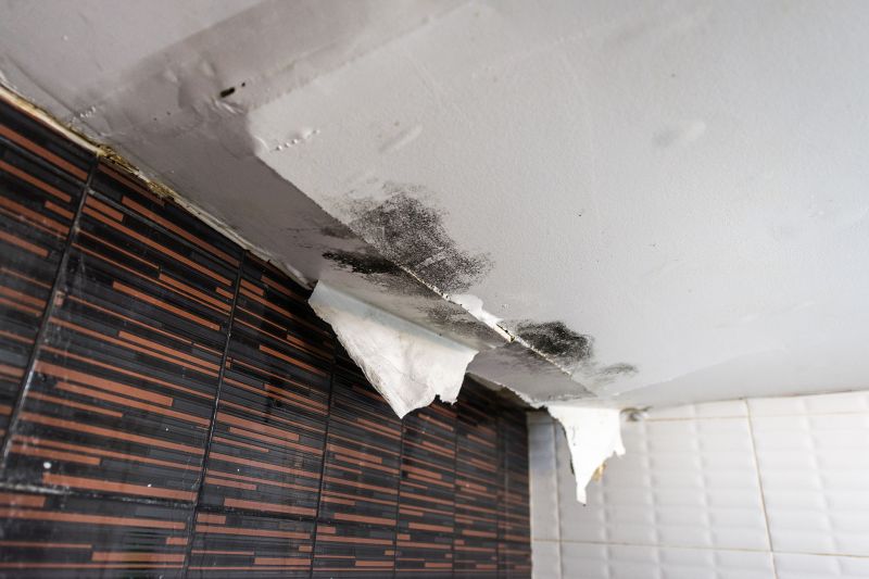 Bathroom Water Damage Repair in Summerville, SC