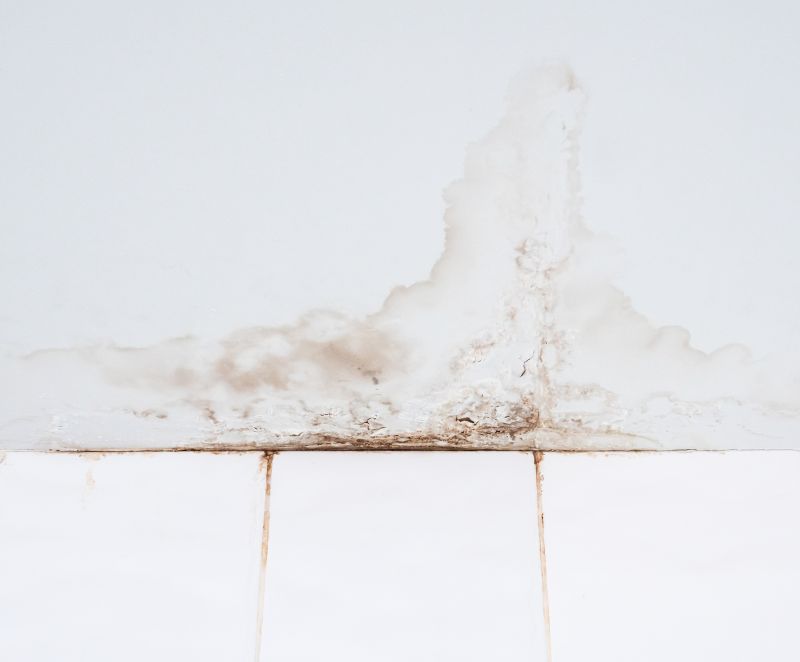 Bathroom Floor Replacement in Santa Rosa, CA