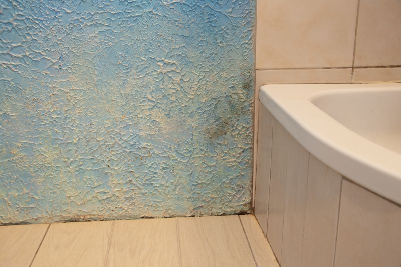 Bathroom Water Damage Repair in Summerville, SC