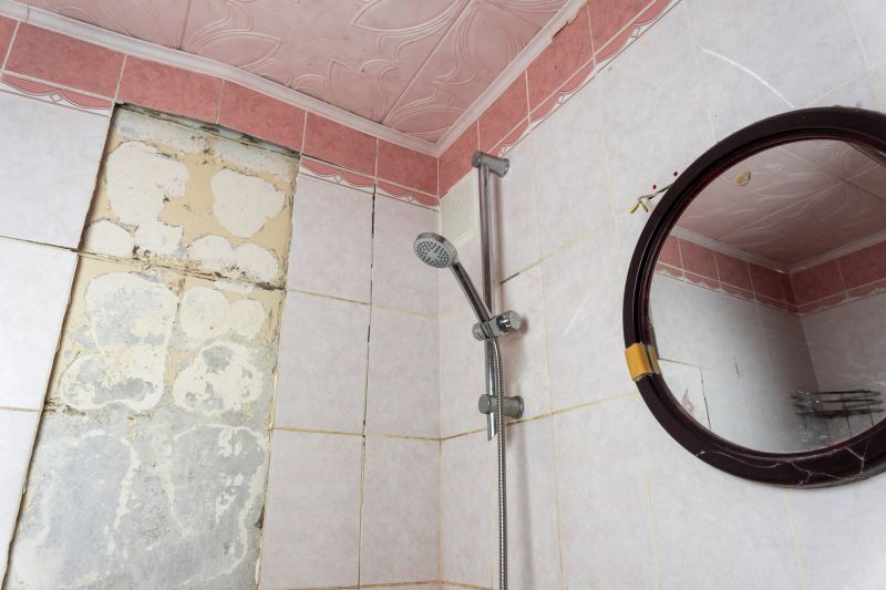 Bathroom Water Damage Repair in Santa Rosa, CA