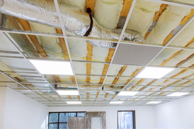 Ceiling Removal Service in Summerville, SC
