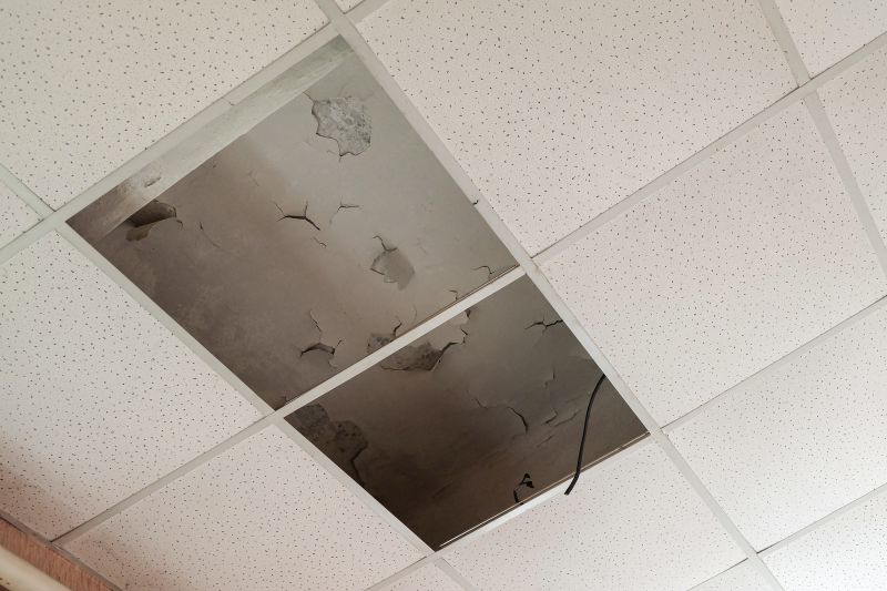 Ceiling Removal Service in Summerville, SC