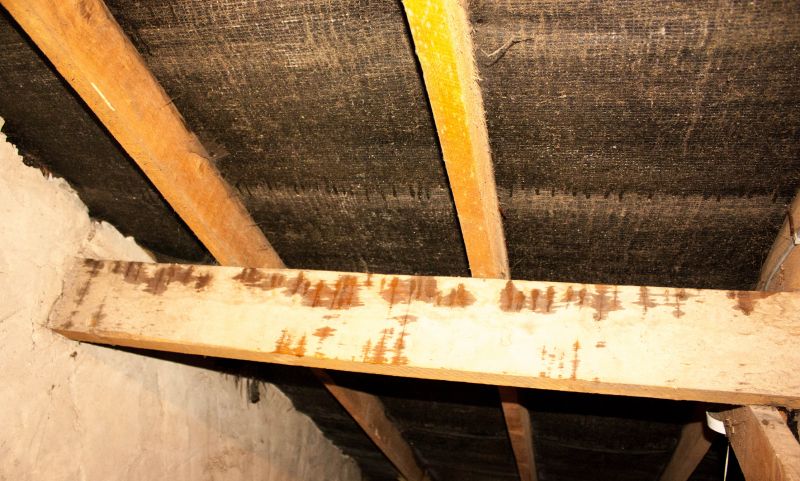Crawl Space Remediation in Denver, CO