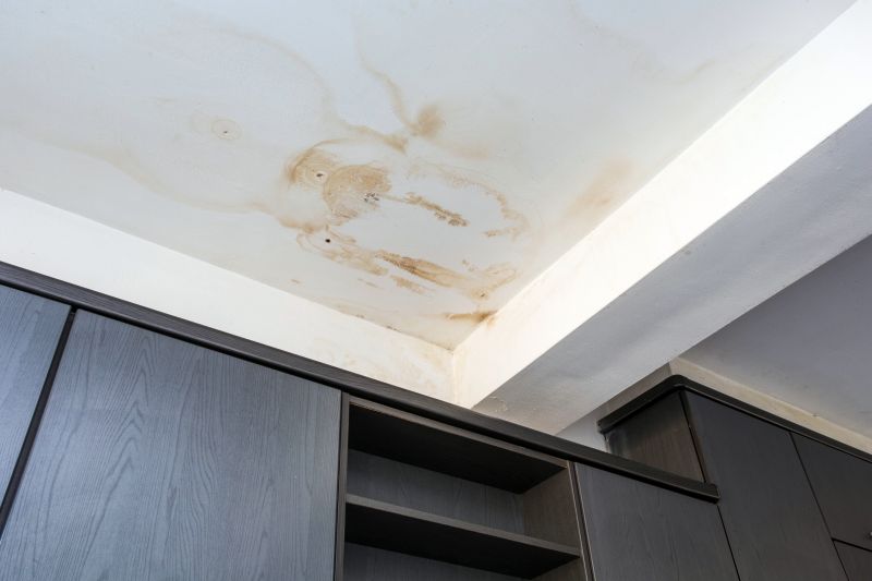Leaking Ceiling Repair in Littleton, CO