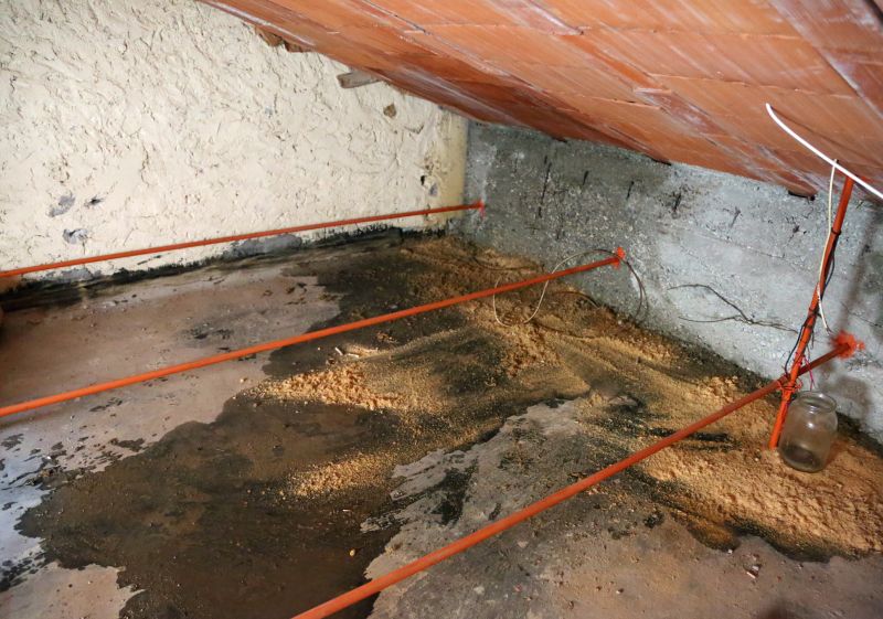 Leaking Ceiling Repair in Littleton, CO